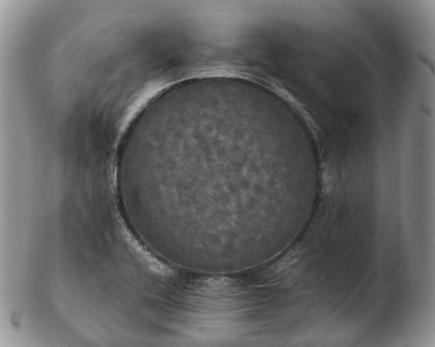 X0000102841416200808251146