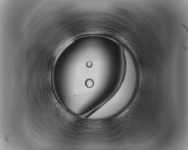 X0000102841417200808251146