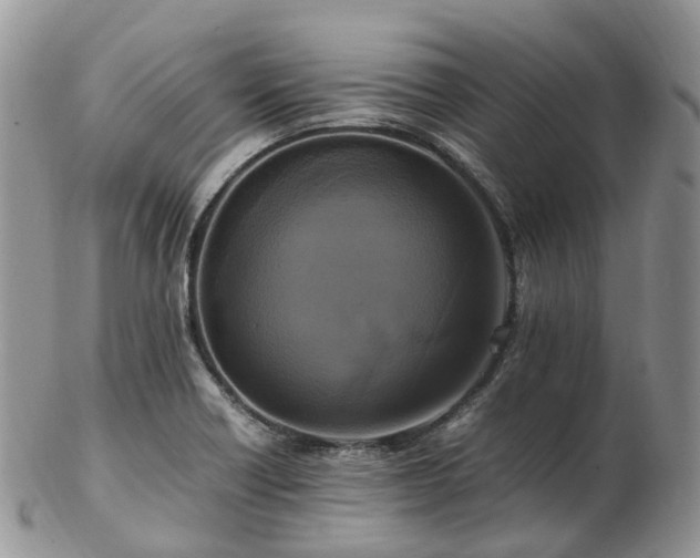 X0000102841418200808251146