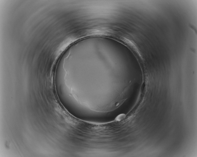 X0000102841419200808251146