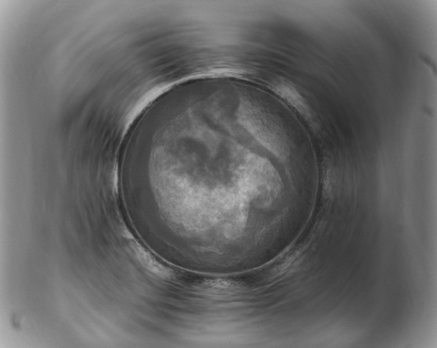 X0000102841420200808251146