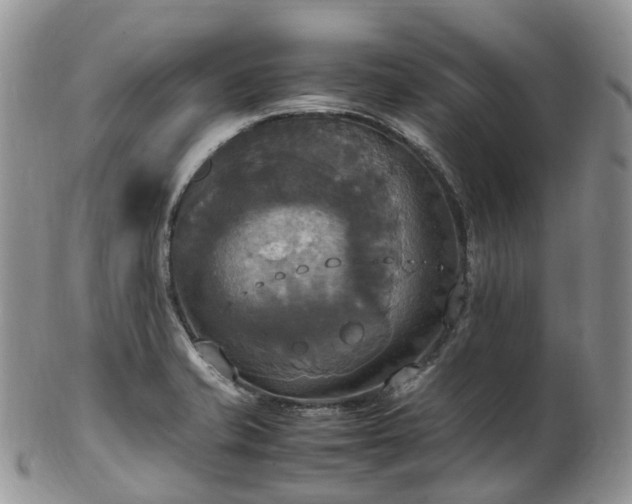 X0000102841421200808251146