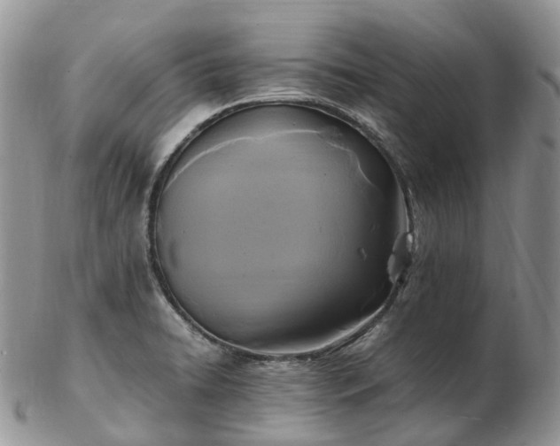 X0000102841422200808251146