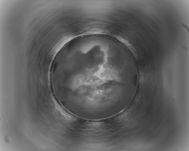 X0000102841423200808251146