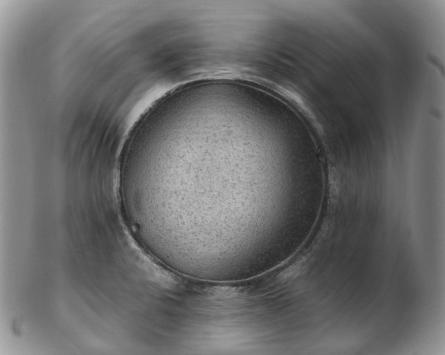 X0000102841424200808251146