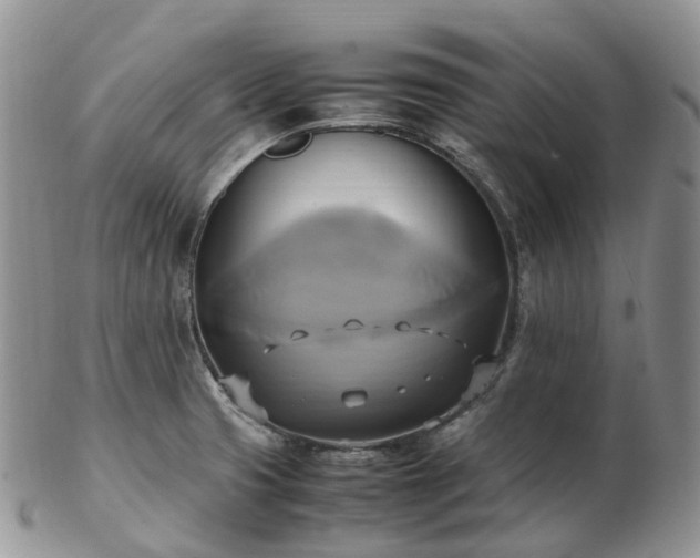 X0000102841425200808251146