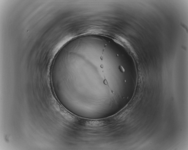 X0000102841427200808251146