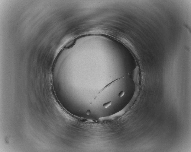 X0000102841428200808251146