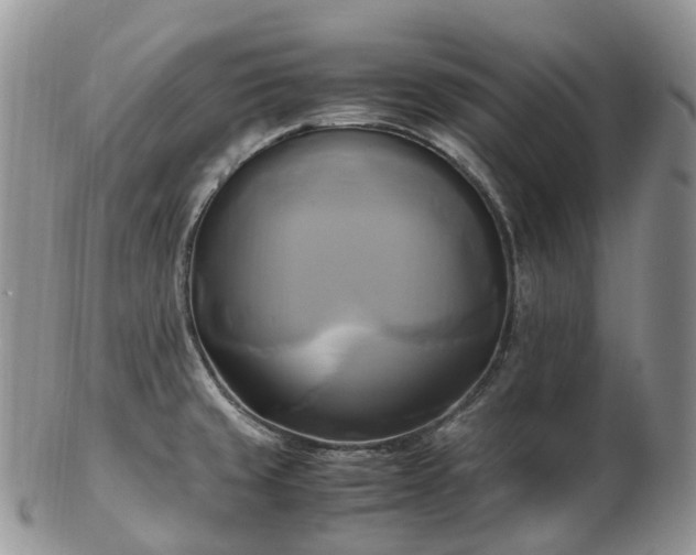 X0000102841429200808251146