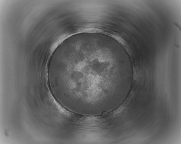 X0000102841430200808251146