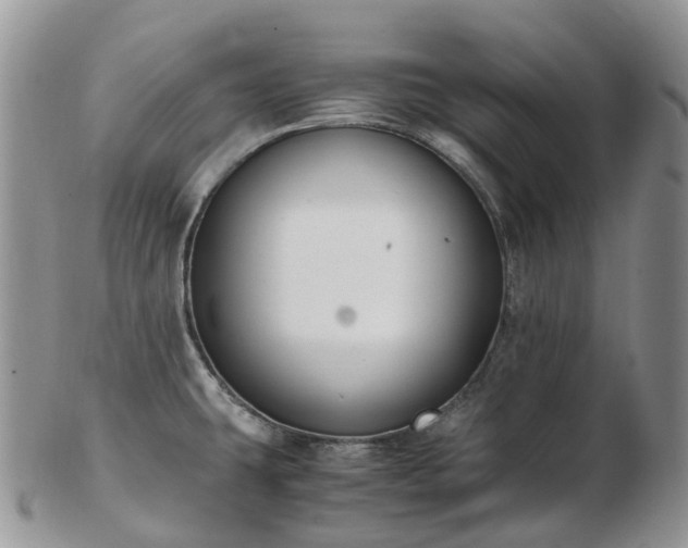 X0000102841431200808251146