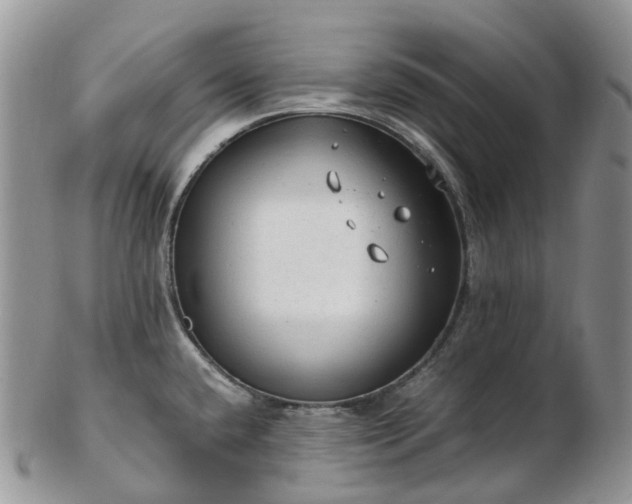 X0000102841432200808251146