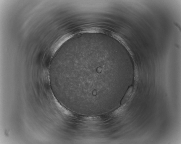 X0000102841433200808251146