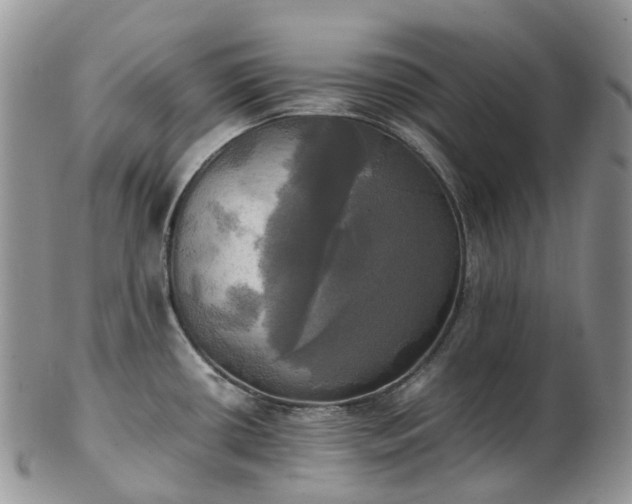 X0000102841434200808251146