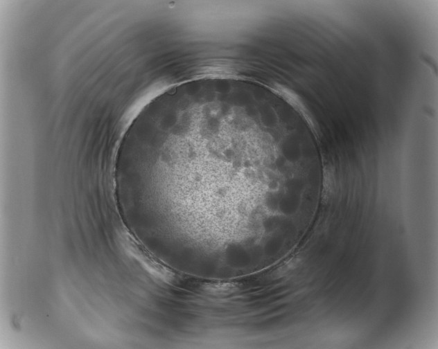 X0000102841435200808251146