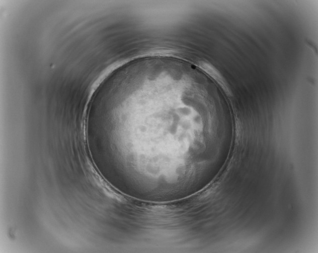 X0000102841436200808251146