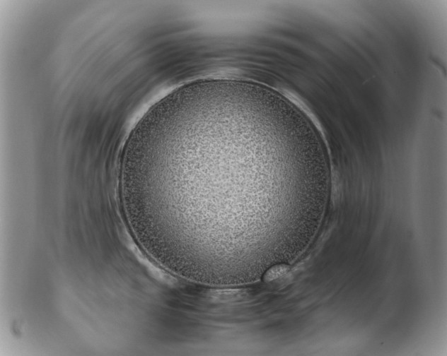 X0000102841437200808251146