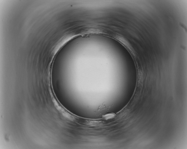 X0000102841439200808251146