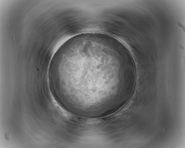 X0000102841440200808251146