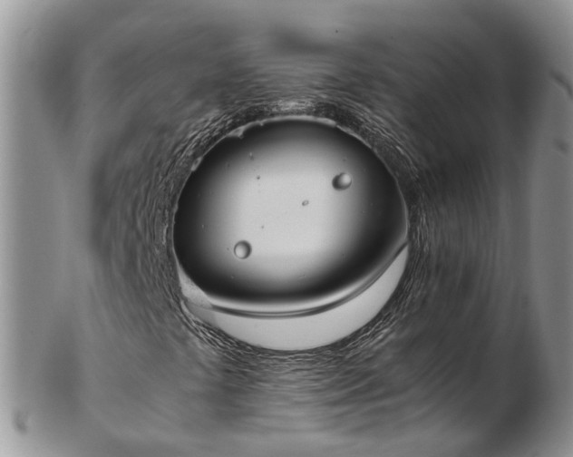 X0000102841441200808251145