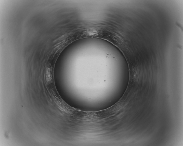 X0000102841442200808251145