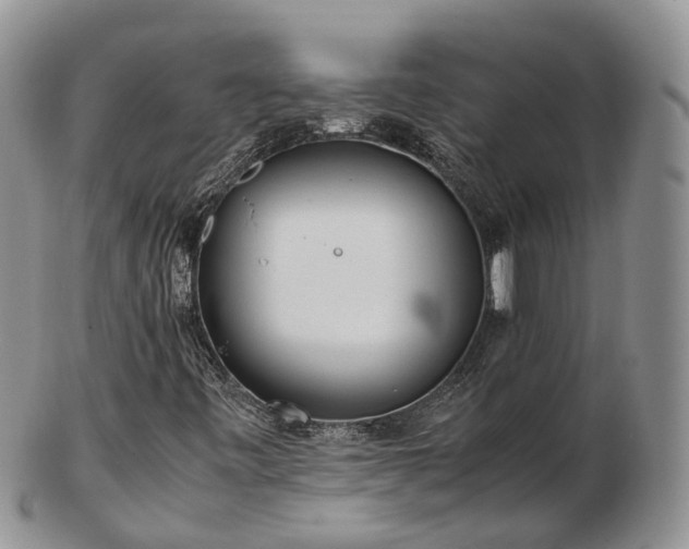 X0000102841443200808251145