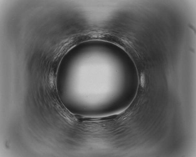 X0000102841444200808251145