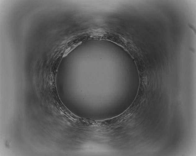 X0000102841445200808251145