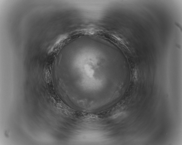 X0000102841446200808251145