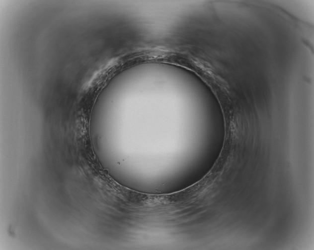 X0000102841447200808251145