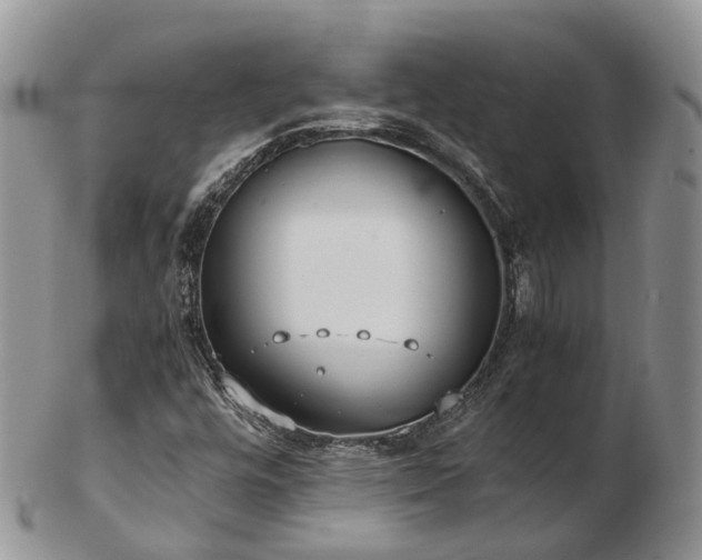 X0000102841448200808251145