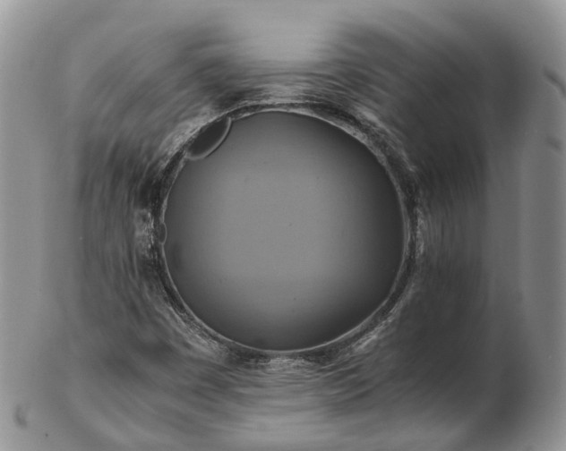 X0000102841449200808251145