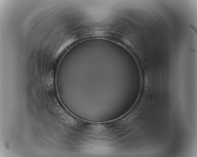 X0000102841450200808251145