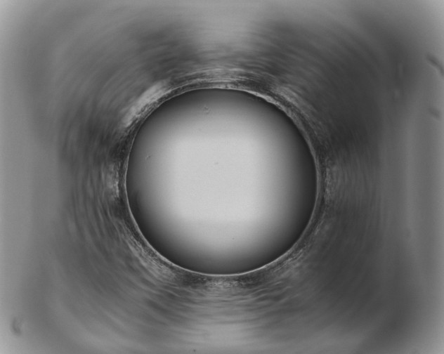 X0000102841451200808251145