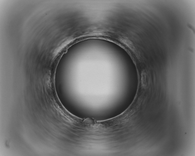 X0000102841452200808251145