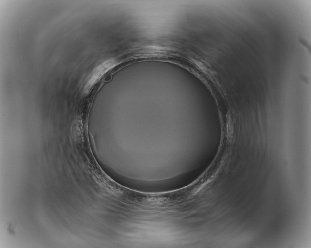 X0000102841453200808251145