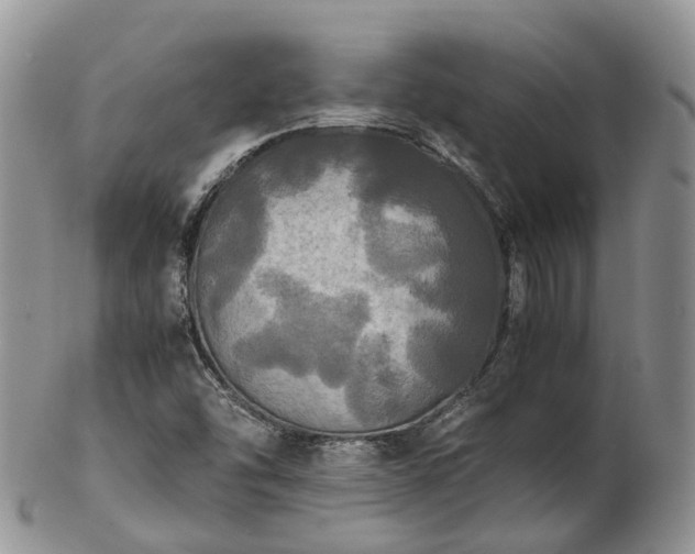 X0000102841454200808251145