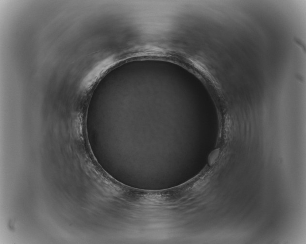 X0000102841455200808251145