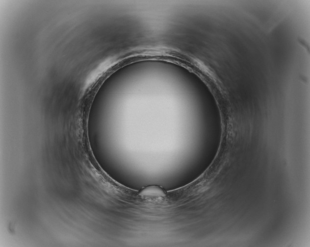 X0000102841456200808251145