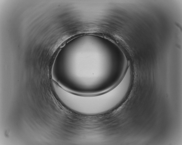 X0000102841457200808251145