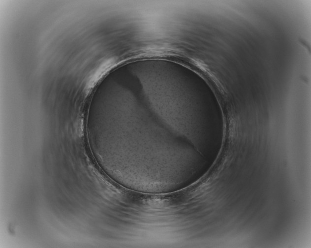 X0000102841459200808251145