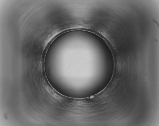 X0000102841460200808251145