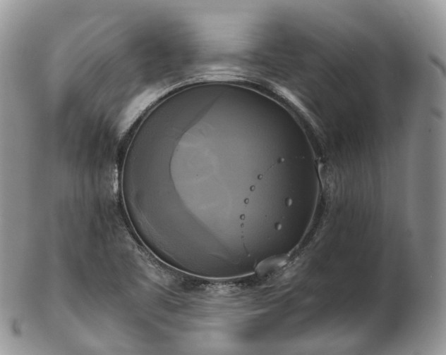 X0000102841461200808251145