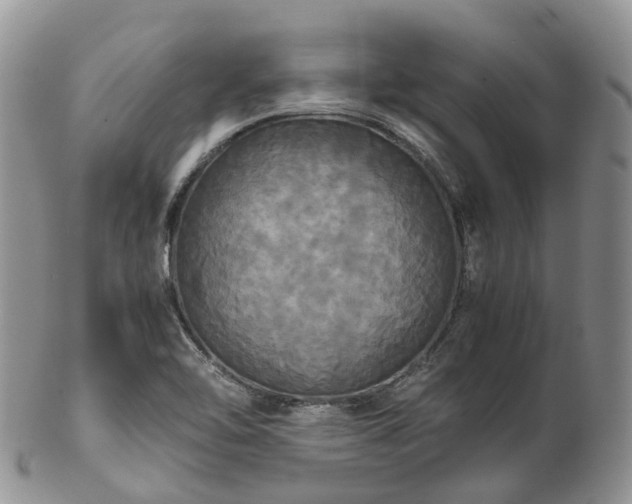 X0000102841462200808251145