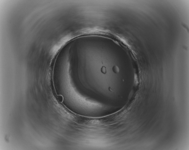 X0000102841463200808251145