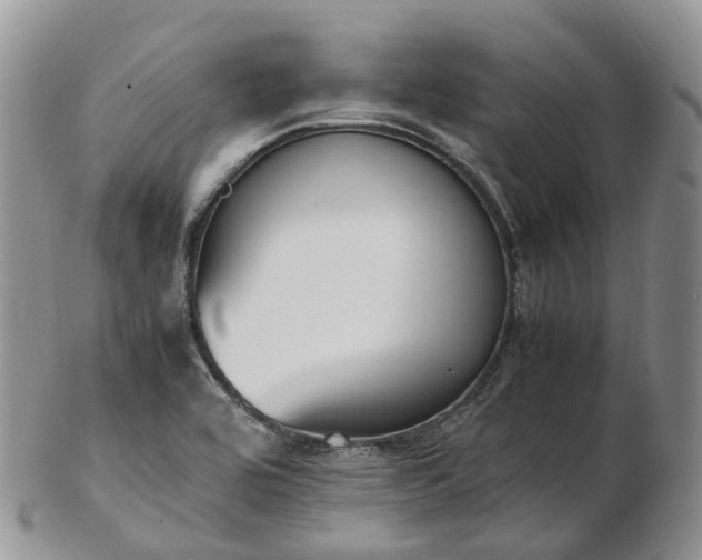 X0000102841464200808251145