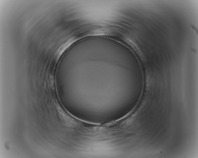 X0000102841465200808251145