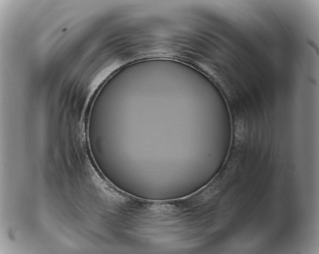 X0000102841466200808251145