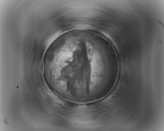 X0000102841467200808251145