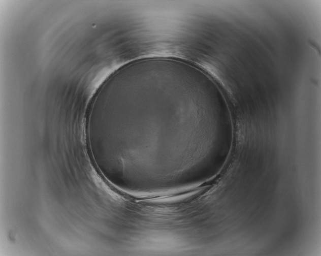 X0000102841468200808251145